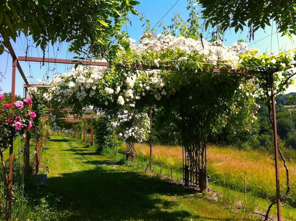 Mas Del Lum Bed & Breakfast Boussac  ภายนอก รูปภาพ
